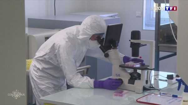Traitements contre le Covid-19 : la recherche progresse avec quinze molécules à l'étude