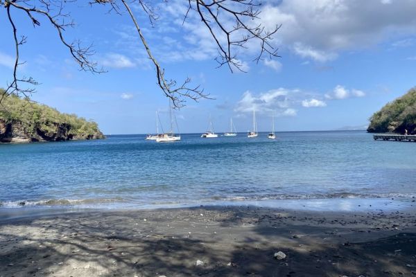 Anses D'Arlet : la mairie interdit la baignade à l'anse noire à cause d'une nappe visqueuse à la surface de l'eau