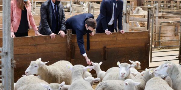 Les éleveurs donnent de la voix pour dénoncer des revenus en berne