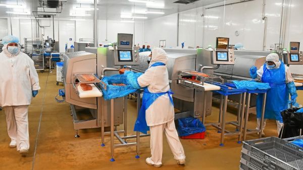 Que va devenir la « friche Gad » à Lampaul-Guimiliau ?