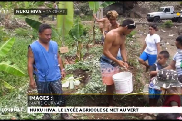 La filière agricole du CED de Nuku Hiva se développe