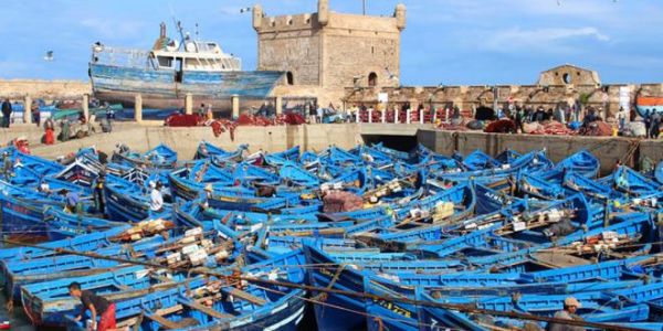 Pêche: progression des débarquements au port d'Essaouira