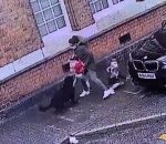 Un chien attaque des enfants dans une rue de Birmingham (Angleterre)