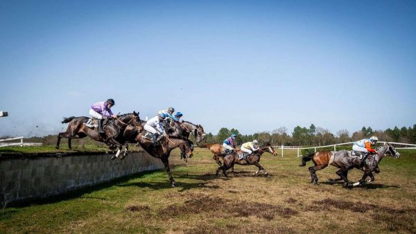 Hippisme : Tequila Sun a surpris les favoris, chez elle à Mont-de-Marsan