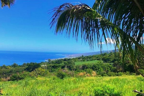 La Réunion : du soleil ce matin, des nuages sur les hauts cet après-midi et 33 °C