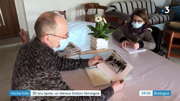 Crise de la vache folle : 30 ans après, un éleveur se souvient