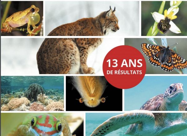 Environnement. Pas loin de 20% des espèces de la faune et flore sauvages sont menacées en France