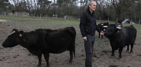 Vidéo. Dordogne : l'abattage à la ferme, une idée qui avance