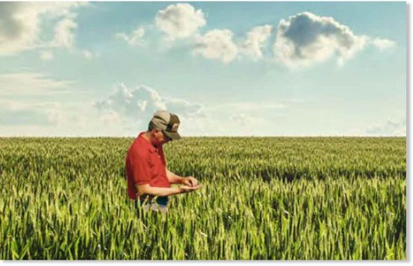 Paysans en colère : « Deux agriculteurs par jour se donnent la mort et on n'en parle pas ! »