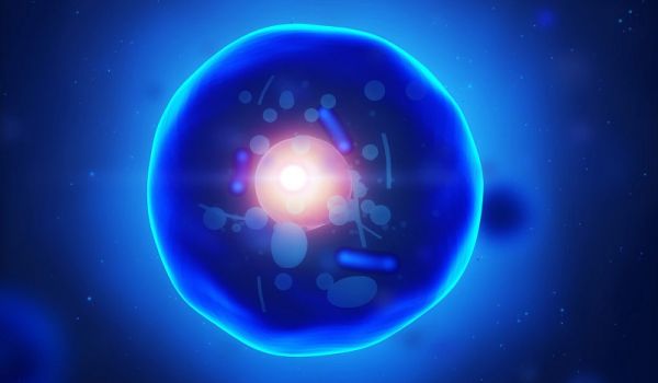 Les auteurs de la crise du coronavirus sont clairement identifiés, les virologistes qui prétendent que les virus causent des maladies sont des scientifiques frauduleux et doivent être [...]