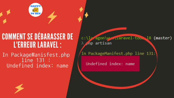 Erreur Laravel : In PackageManisfest.php line 131 : Undefined index: name