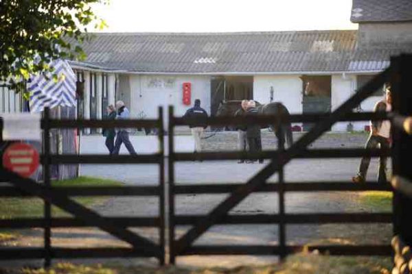 Équitation - La reprise des compétitions fixée au 12 avril après l'épidémie de rhinopneumonie