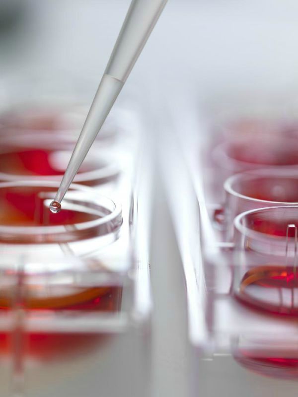 Vaccin l'inoculation du virus qui provoque le cancer