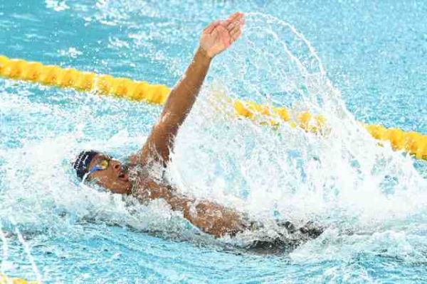Natation - CE - Les Bleus en nombre aux championnats d'Europe de Budapest