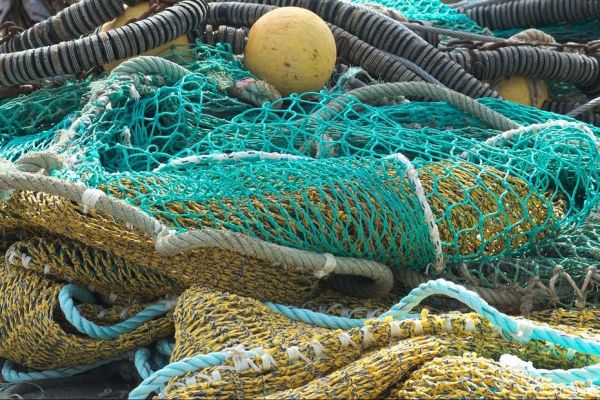Saint-Pierre et Miquelon évite un moratoire sur la pêche à la morue