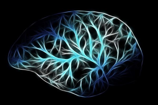 Des “gènes zombies” se développent dans le cerveau après la mort
