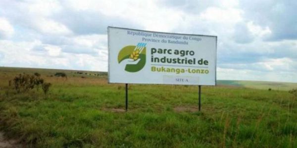 Bukanga-Lonzo : le gouvernement veut cultiver le Chanvre à la place du Maïs