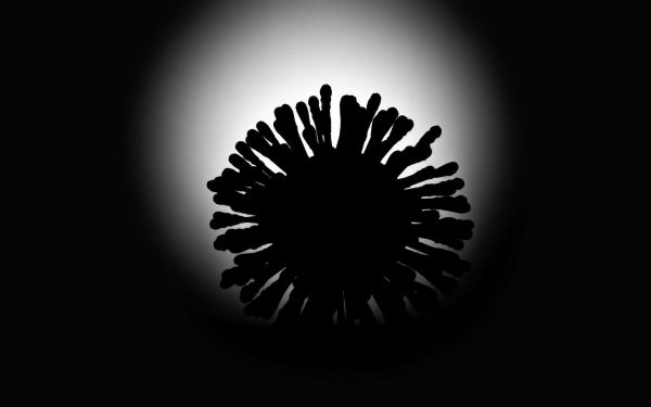 Les 887 virus pathogènes susceptibles de passer de l'animal à l'Homme