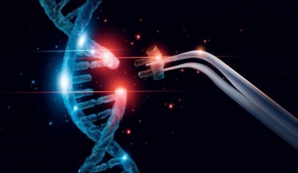 MEILLEUR DU WEB: Le virus Sras-CoV-2 responsable du Covid-19 est-il d'origine humaine ?