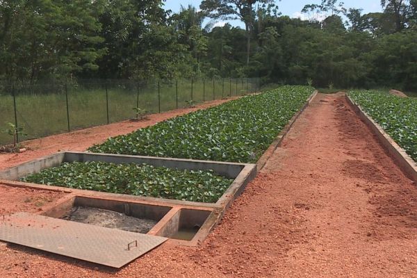 Une station d'épuration phytosanitaire dans un quartier de Maripasoula