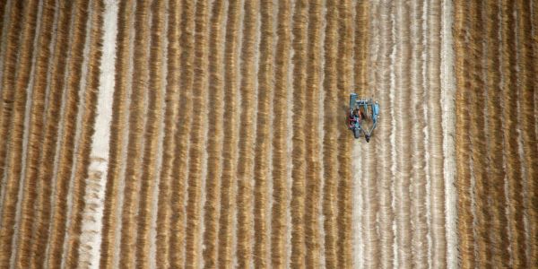 « Notre surconsommation d'engrais azotés de synthèse est un désastre écologique, social et économique »
