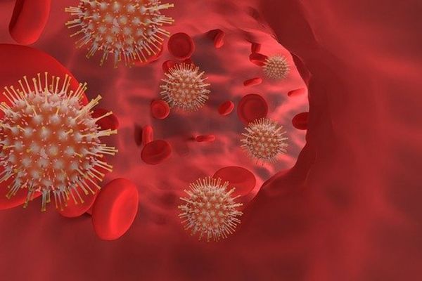 Brésil : Un nouveau variant du coronavirus découvert à Belo Horizonte capitale de l'état Minais Gerais