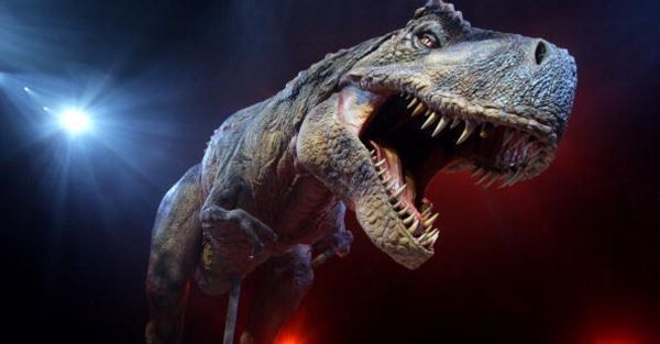Combien étaient les tyrannosaures quand ils dominaient la Terre?