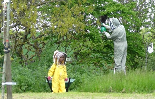 Lauragais. Cet apiculteur récupère les essaims égarés pour offrir une nouvelle vie aux abeilles