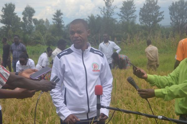 BURUNDI : Le Président du SENAT demande de fixer le prix du riz non décortiqué au kilo / CIBITOKE