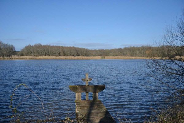Les Grands Étangs : un domaine de chasse de petit et grand gibier en Sologne