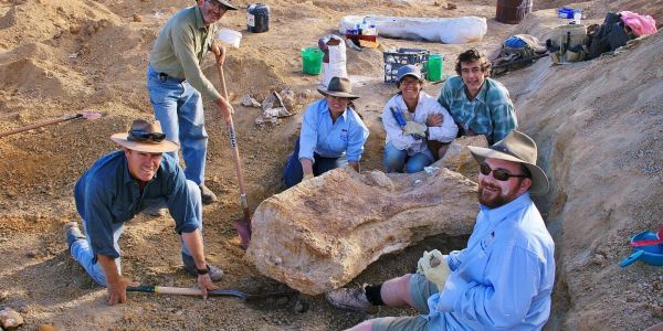 Le plus grand dinosaure découvert en Australie identifié comme une nouvelle espèce
