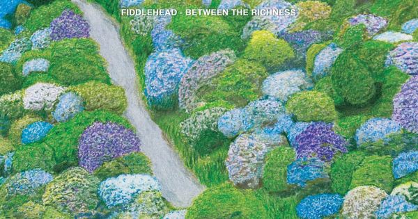 Chronique Express : Fiddlehead - Between The Richness
