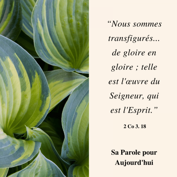 Comment vous voyez-vous aujourd’hui ? ( Bob Gass )