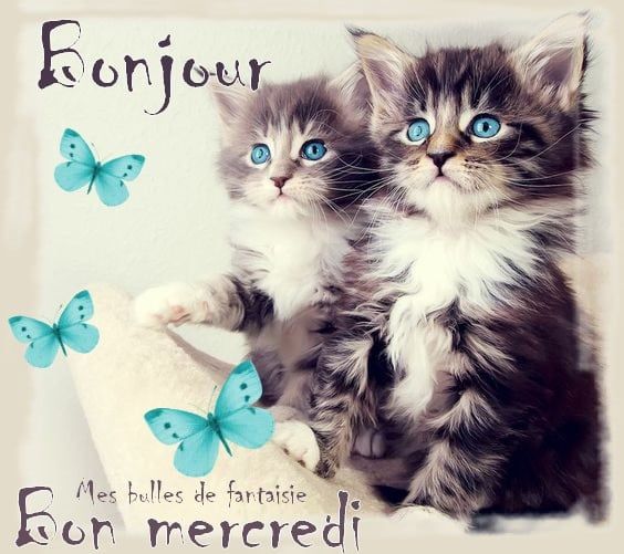 Bonne journée mes amies (s) en Christ