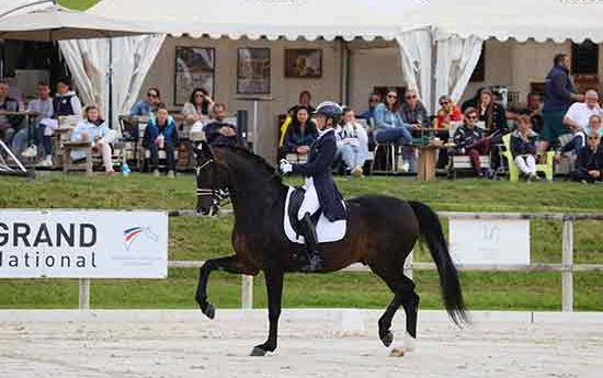 Morgan Barbancon et Sir Donnerhall II : le retour !