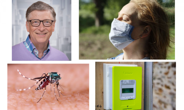 Bill Gates relâche des moustiques génétiquement modifiés pour transmettre le vaccin aux plus récalcitrants