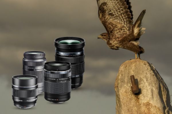 ODR Olympus été 2021 : jusqu’à 200 € remboursés sur une sélection d’objectifs Micro 4/3