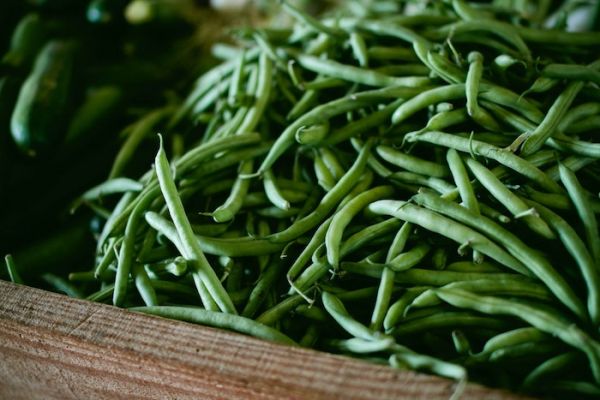 Le haricot vert, le légume dont on envie la ligne