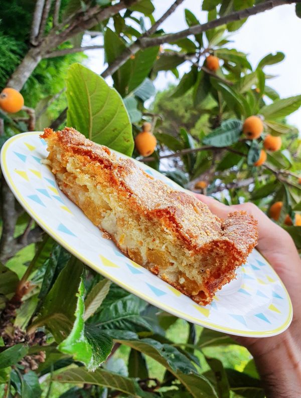 Gâteau aux nèfles