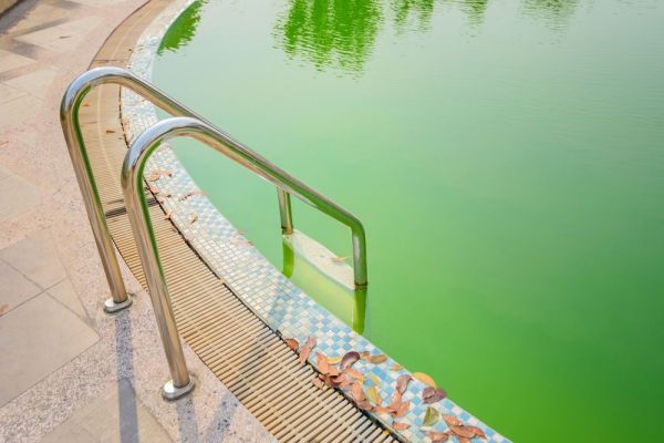 Misterbricolo rattrape l'eau verte de sa piscine ...