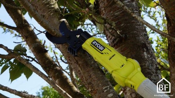 Coupe-branches télescopique Ryobi RY18PLA-0 : test et avis