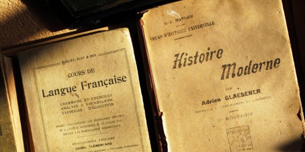 Francophonie : « Québécois et Européens doivent soutenir le français à l'université »