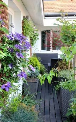Misterbricolo prend soin de ses plantes d'intérieur...