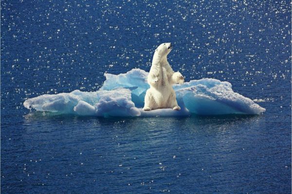 Une origine naturelle du dérèglement climatique "extrêmement improbable” d'après une étude