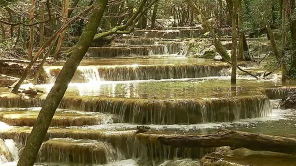La Sainte-Baume, une oasis en Provence