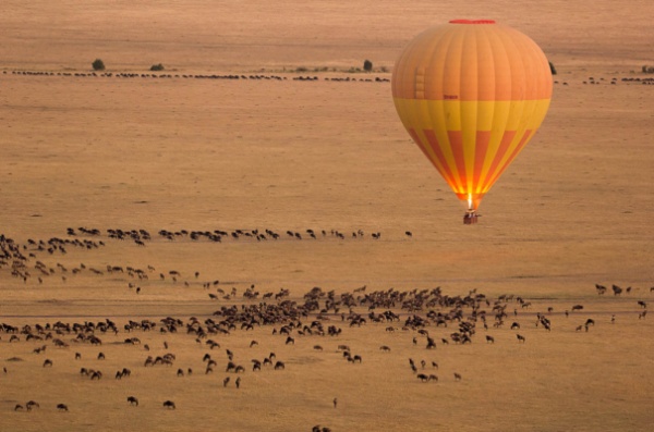 Magique Kenya ! (Épisode 4) Des expériences version luxe et passion