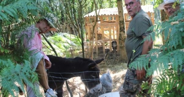 En Vendée, un collectif se mobilise pour sauver des animaux abandonnés dans une ferme