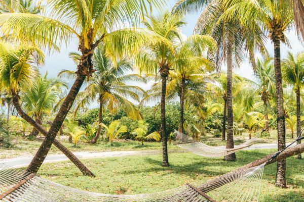 Agenda : webinaire Sandals spécial Bahamas le 23 septembre