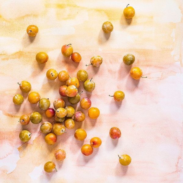 La mirabelle, la petite prune qui a tout d'une grande !