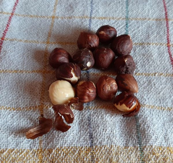 Comment torréfier des noisettes au four et les monder ? La bonne recette !